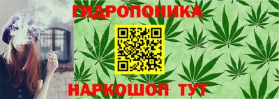 метадон Кимры